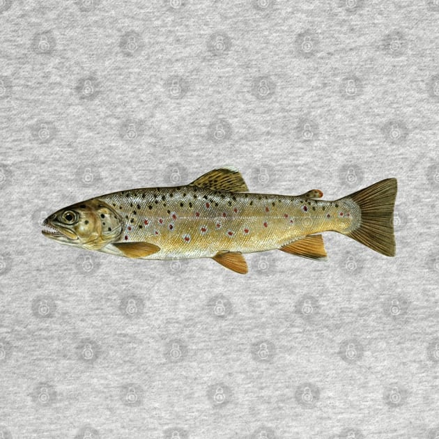 Brown Trout by  The best hard hat stickers 